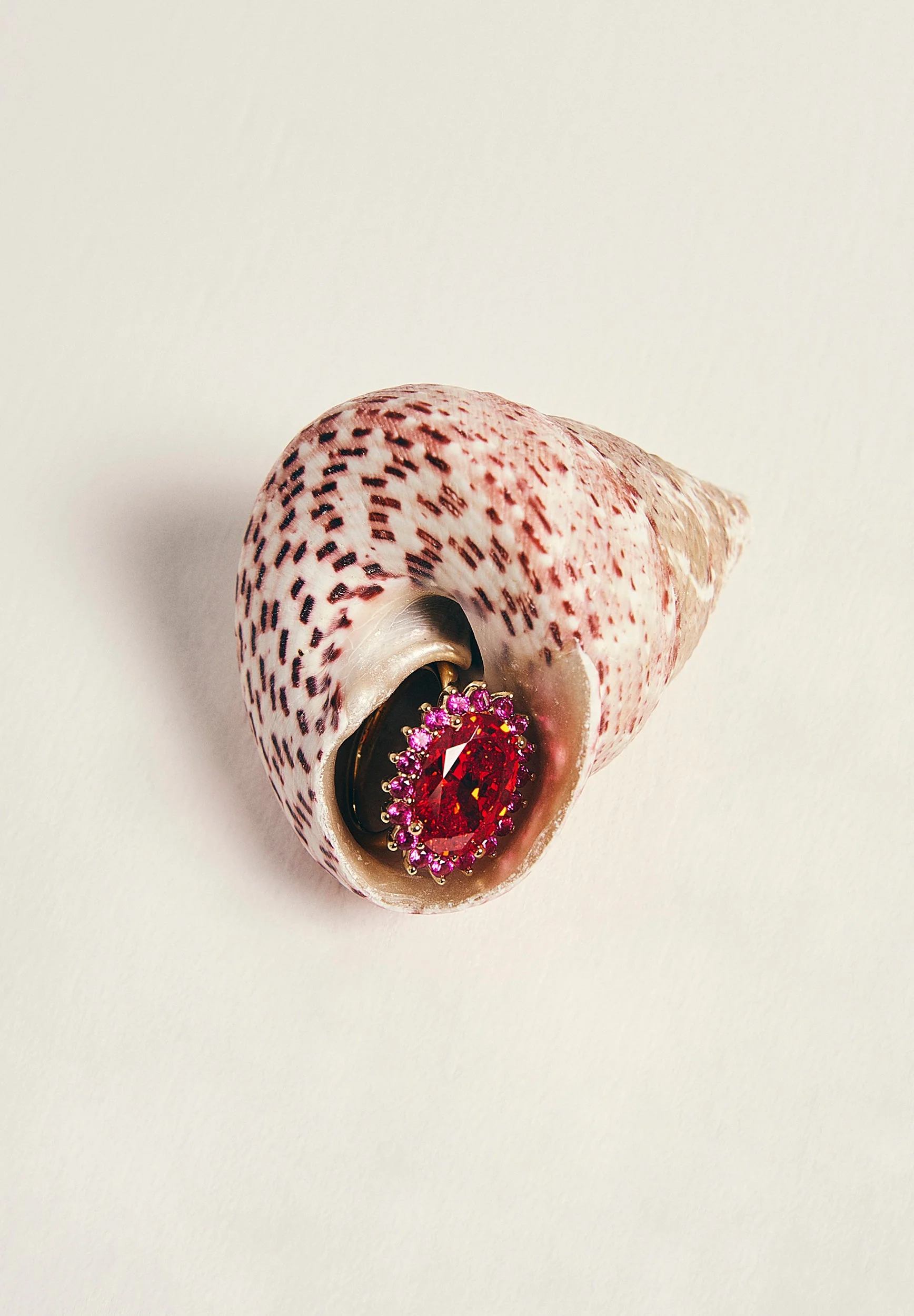 SPECCIALE | ANEL RAFAELLA - Image 5